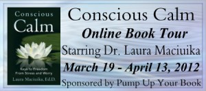 Conscious  Calm: The Book