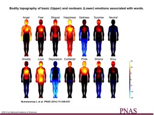 NatlAcadofSciences_Map_of_Emotions